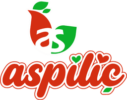 Aspiliç Bayilik Logosu